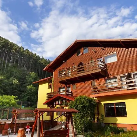 Guest house Pensiunea Lacul De Argint