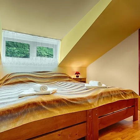 Guest house Pensiunea Lacul De Argint Gura Raului