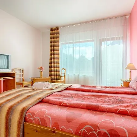 Pensiunea Lacul De Argint Guest house
